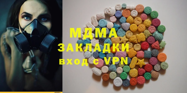 прущие грибы Няндома