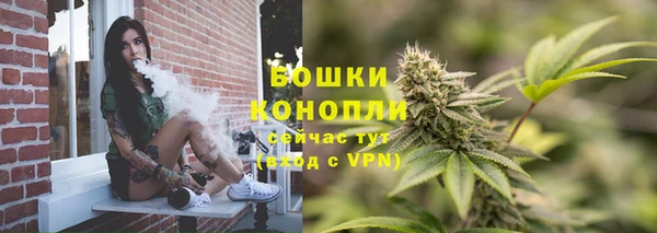 прущие грибы Няндома