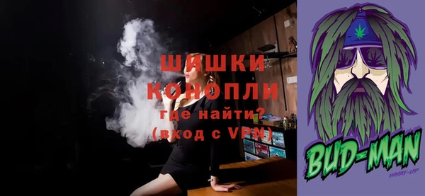 прущие грибы Няндома
