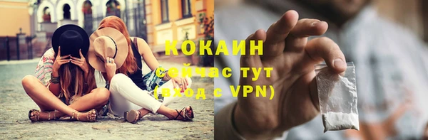 прущие грибы Нягань