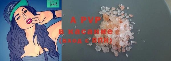 прущие грибы Няндома