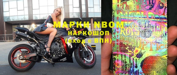 прущие грибы Нягань