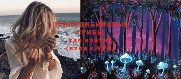 прущие грибы Няндома