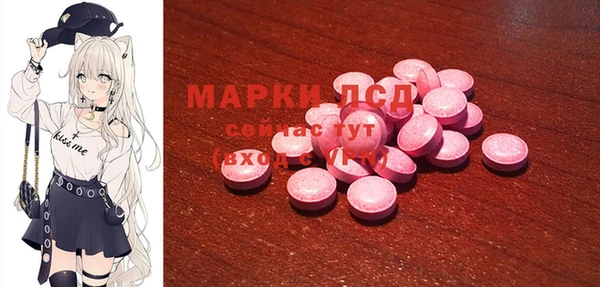 прущие грибы Нягань