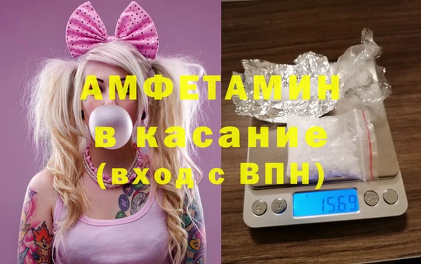 прущие грибы Нягань