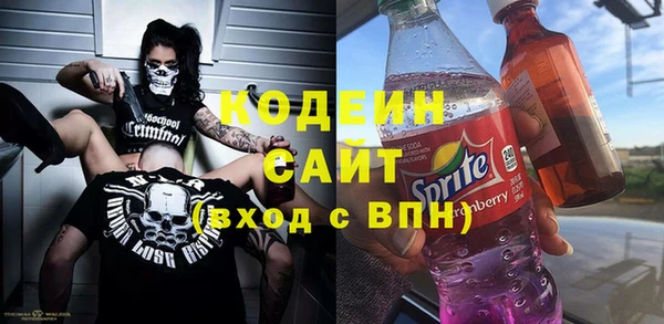 прущие грибы Няндома