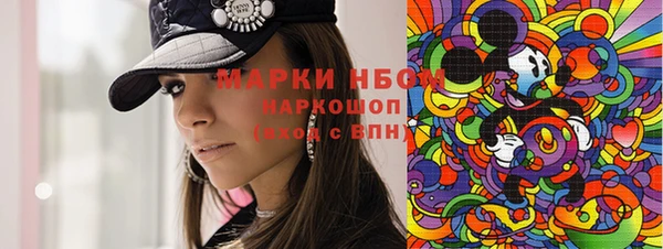 прущие грибы Няндома