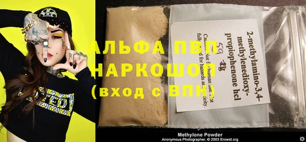 прущие грибы Няндома