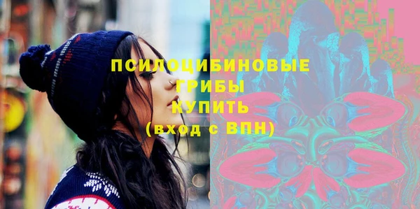 прущие грибы Няндома