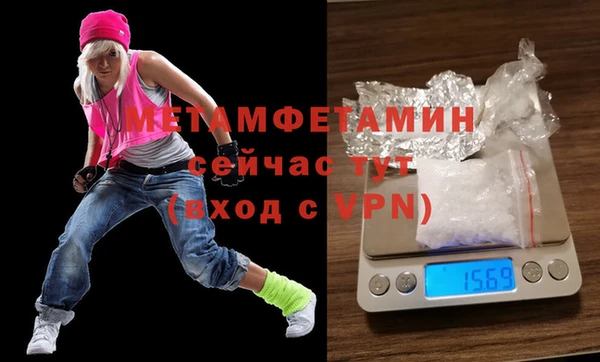 прущие грибы Няндома