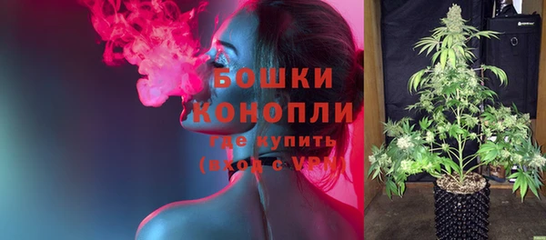 прущие грибы Нягань