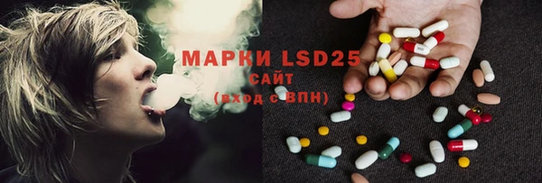прущие грибы Нягань
