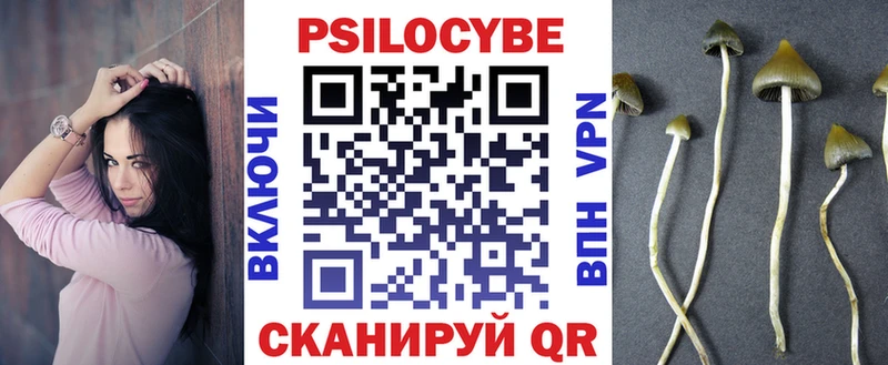 Псилоцибиновые грибы Psilocybine cubensis  Красноярск 