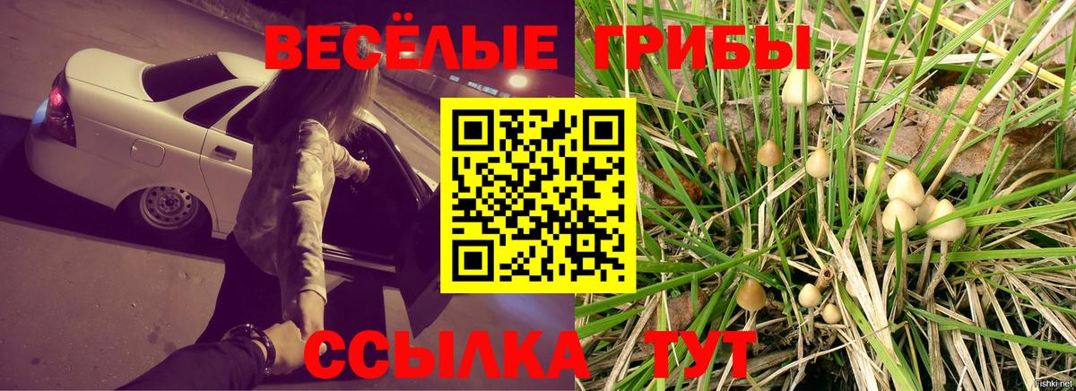 Псилоцибиновые грибы MAGIC MUSHROOMS Красноярск